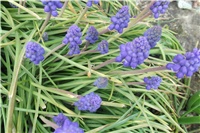 b4c4f598-Picture 015.jpg